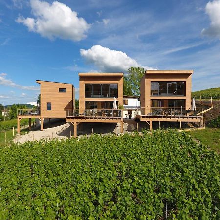 Cottages Antoinette Chigny-les-Roses Exterior foto