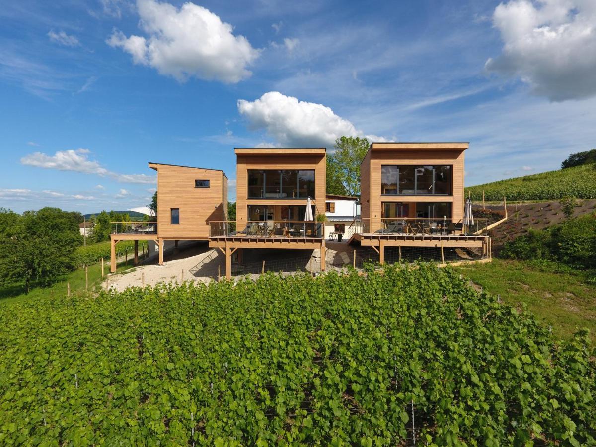 Cottages Antoinette Chigny-les-Roses Exterior foto