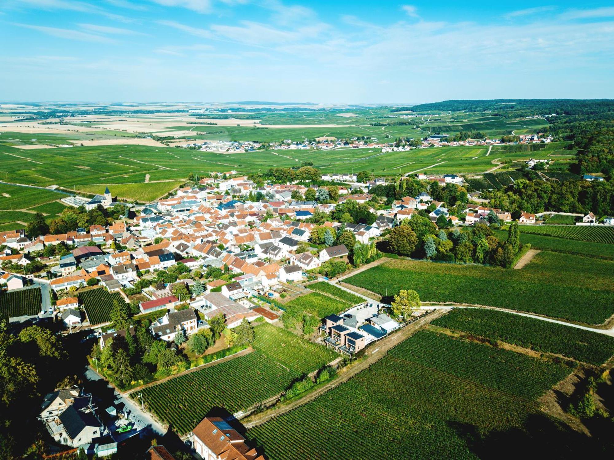 Cottages Antoinette Chigny-les-Roses Exterior foto