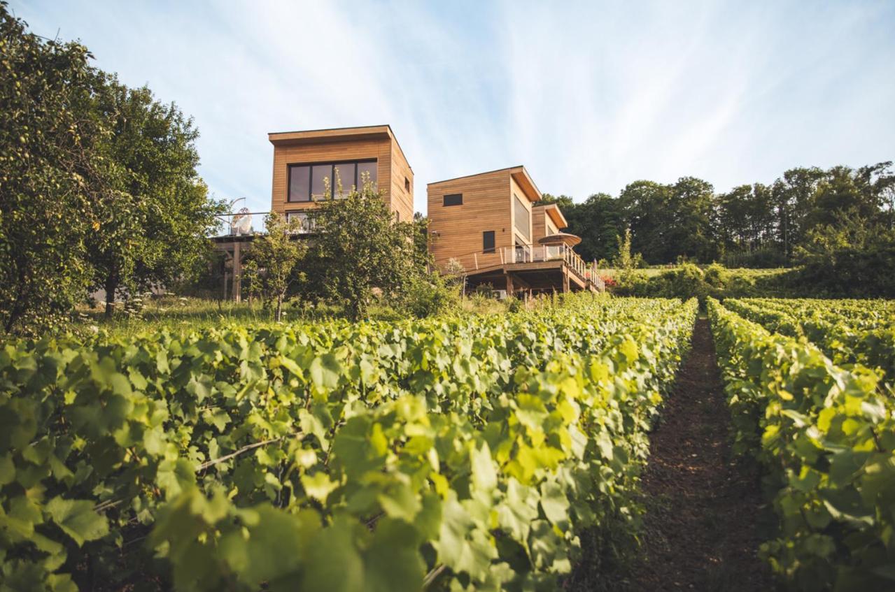 Cottages Antoinette Chigny-les-Roses Exterior foto