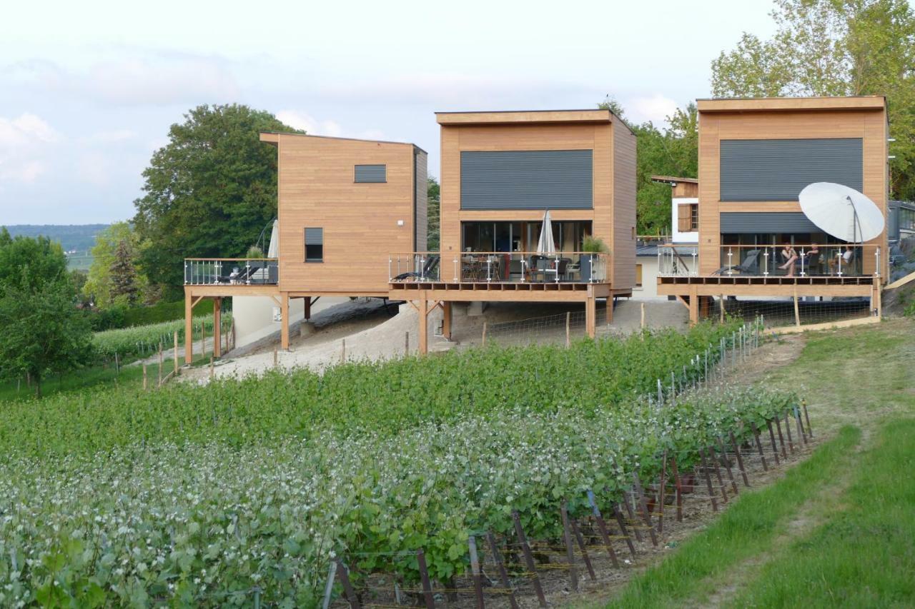 Cottages Antoinette Chigny-les-Roses Exterior foto