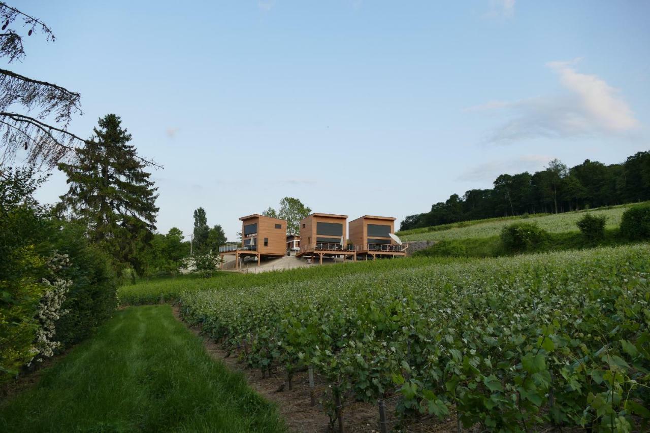 Cottages Antoinette Chigny-les-Roses Exterior foto