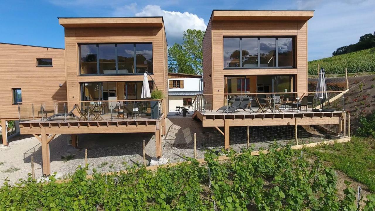Cottages Antoinette Chigny-les-Roses Exterior foto