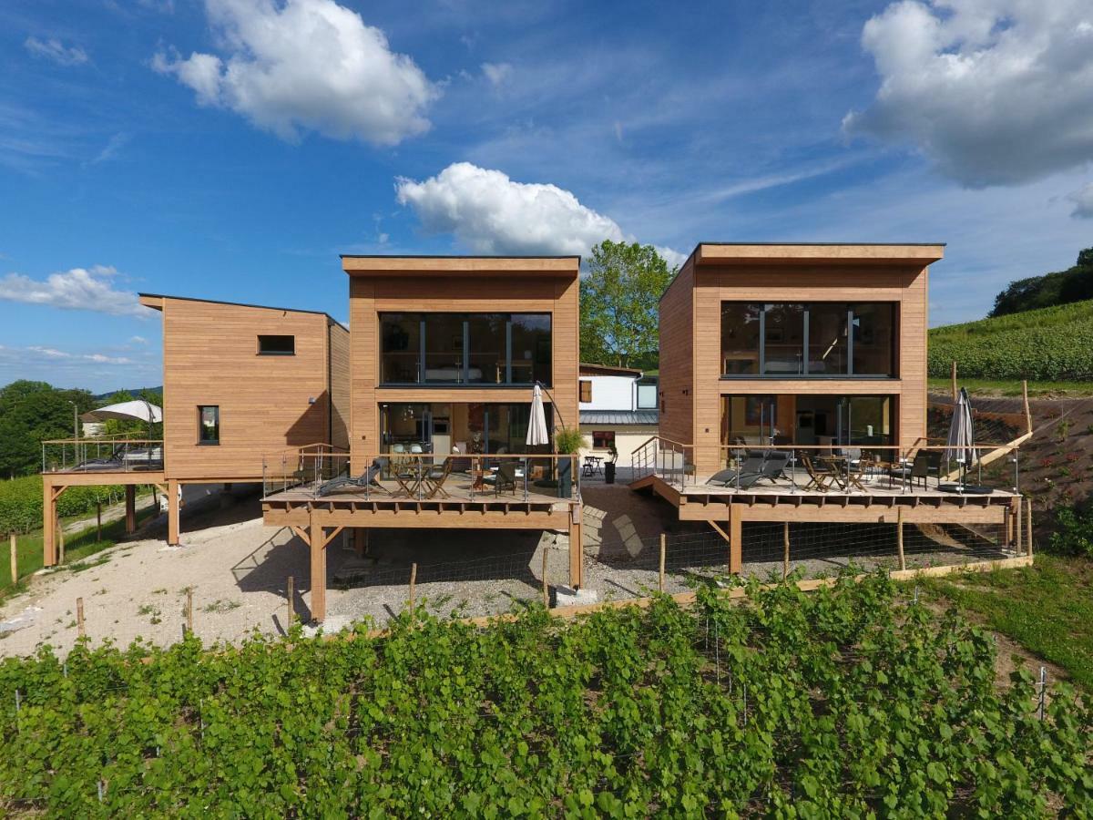 Cottages Antoinette Chigny-les-Roses Exterior foto